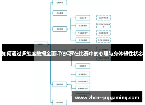 如何通过多维度数据全面评估C罗在比赛中的心理与身体韧性状态 如何通过多维度数据全面评估C罗在比赛中的心理与身体韧性状态