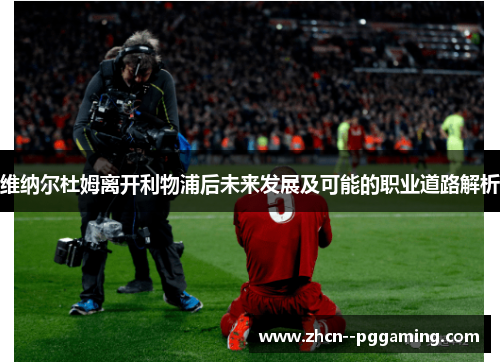 维纳尔杜姆离开利物浦后未来发展及可能的职业道路解析