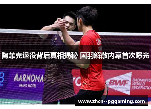 陶菲克退役背后真相揭秘 国羽解散内幕首次曝光 陶菲克退役背后真相揭秘 国羽解散内幕首次曝光
