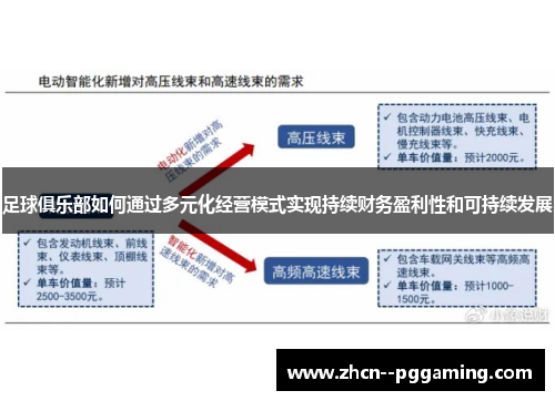 足球俱乐部如何通过多元化经营模式实现持续财务盈利性和可持续发展 足球俱乐部如何通过多元化经营模式实现持续财务盈利性和可持续发展