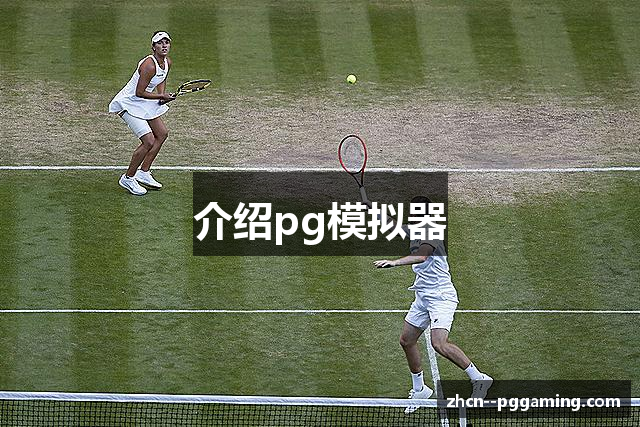 介绍pg模拟器